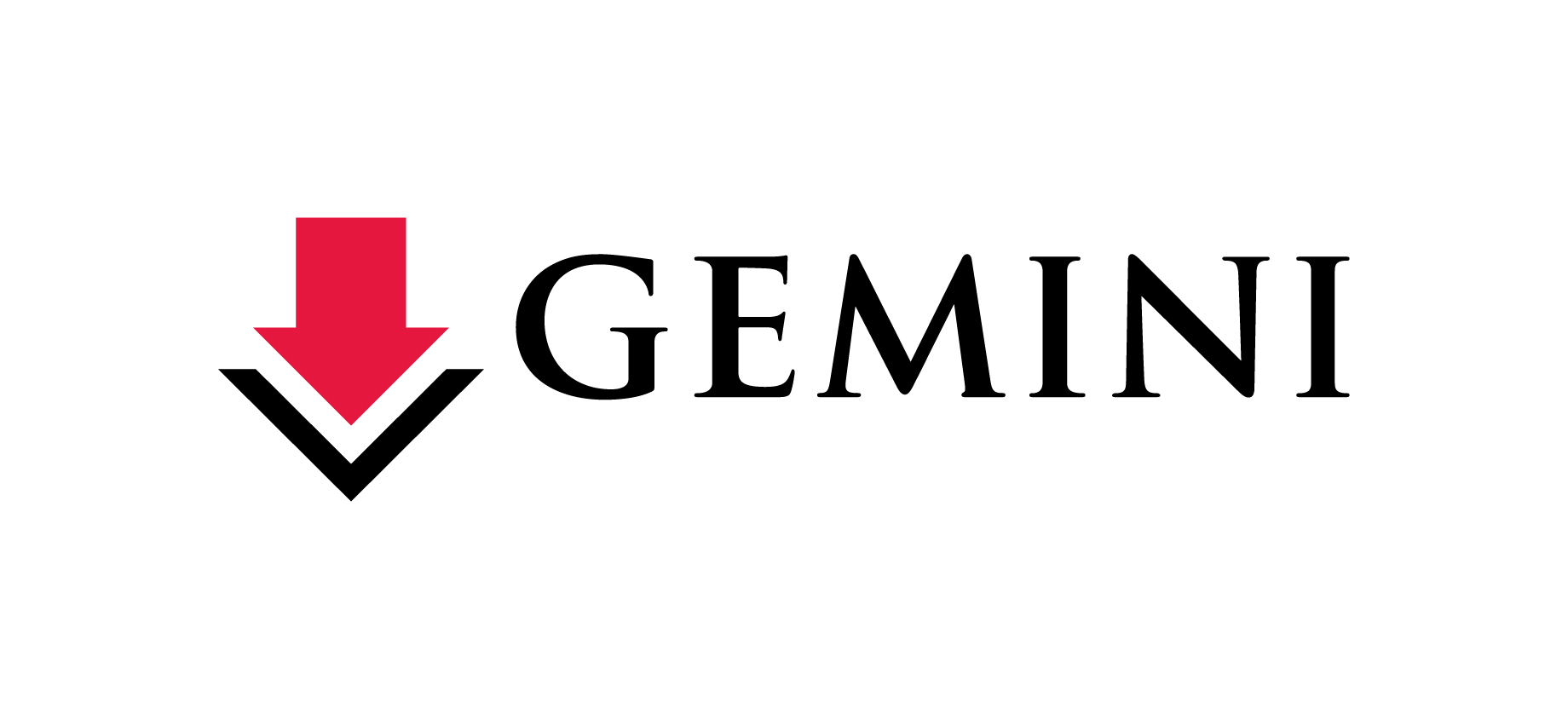 Gemini Gemini